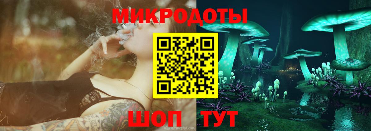 Псилоцибиновые грибы MAGIC MUSHROOMS  Вход с VPN  Королёв 